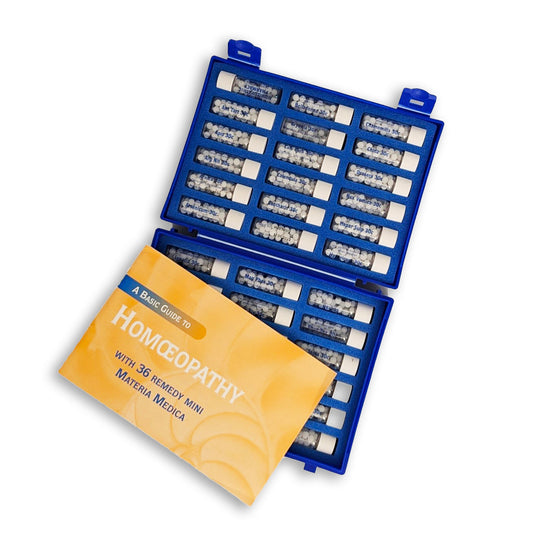 Basic 36 Kit Travel Remedies